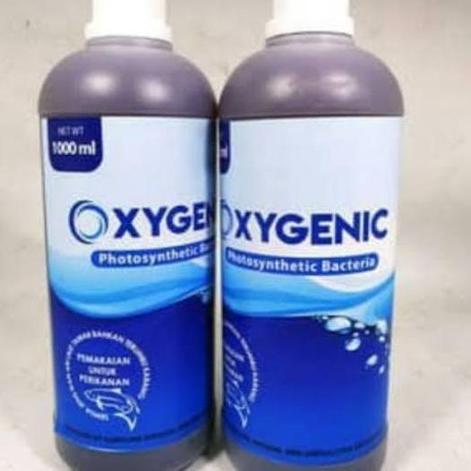 Probiotik ikan oxygenic bakteri starter kolam ikan
