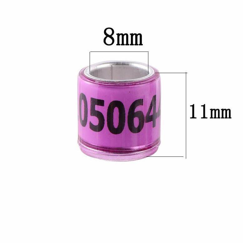 FAST DELIVERY` 1 RING MERPATI IMPORT ASLI 2023 - CINCIN MERPATI CINCIN BURUNG DARA PERKUTUT IMPORT T