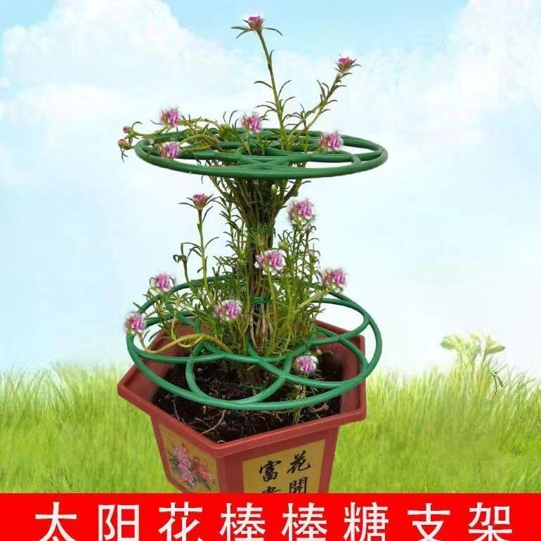 Bisa Cod Tiang Tanaman Kawat Tanaman Peyanggga Tanaman Rambat Tiang Penompak Bunga Rambatan Tanaman 