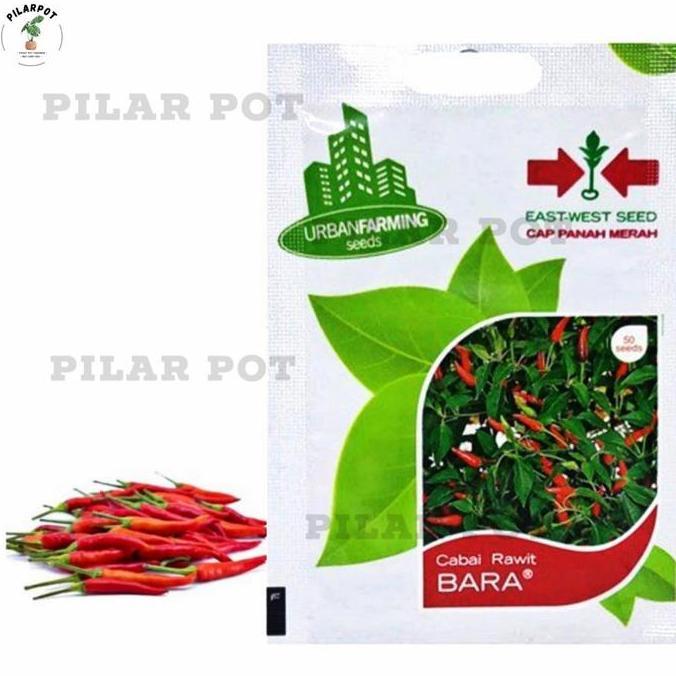 Gardenfil Benih Bibit Cabai Rawit Bara Cap Panah Merah - Cabai Rawit Bara
