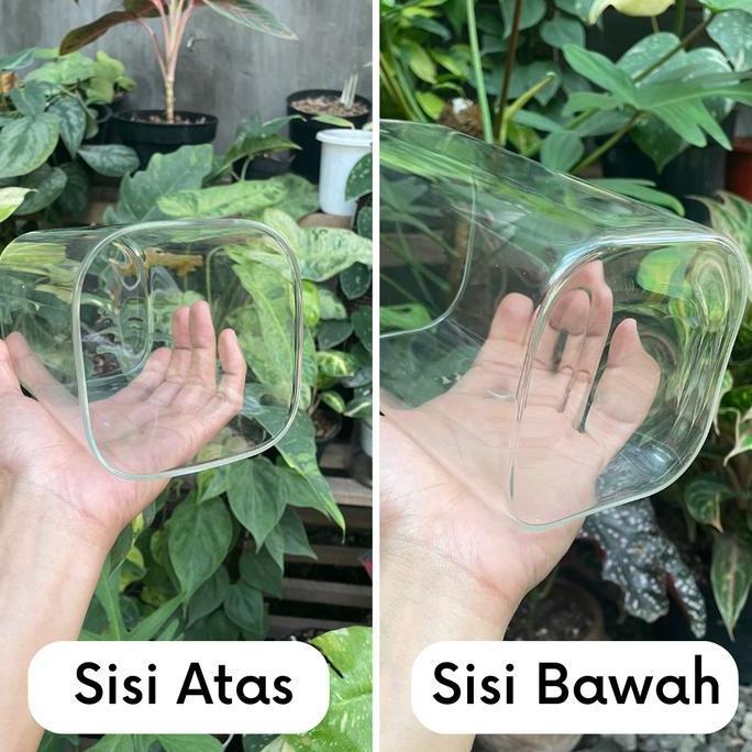 Vas Kaca Emerald - Vas Bunga Kaca Bening Kotak Vas Bunga Kotak Pot (TERBAIK) (TERBARU) (TERMURAH)