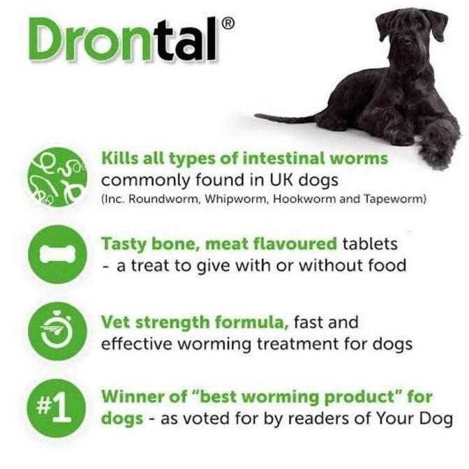 Lovedogi- Drontal Dog 1 Tablet Obat Cacing Anjing Obat Anjing Drontal Anjing Drontal Plus Cacing Anj