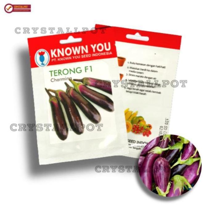 Gardenwill Benih Bibit Terong Ungu Panjang F1 Charming Known You Seed - Kys Terong Ungu Panjang F1 C