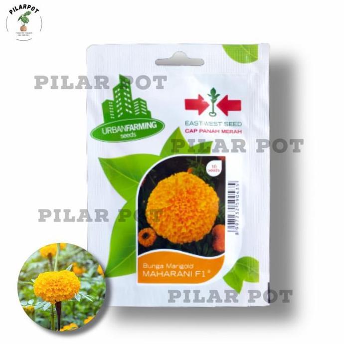 Gardenwill Benih Bibit Bunga Marigold Maharani F1 Cap Panah Merah - Maharani F1