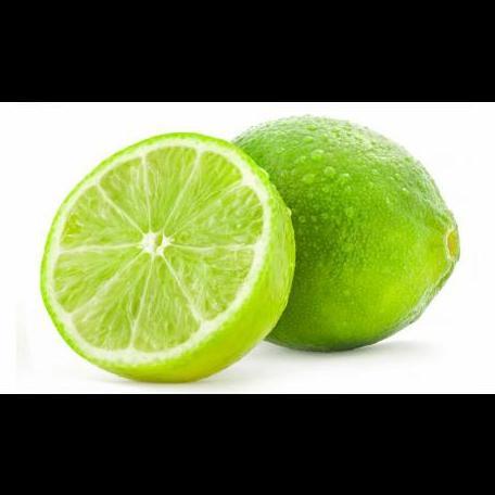 Bibit Tanaman Buah Jeruk Nipis Asli, Pohon Jeruk Nipis Unggul