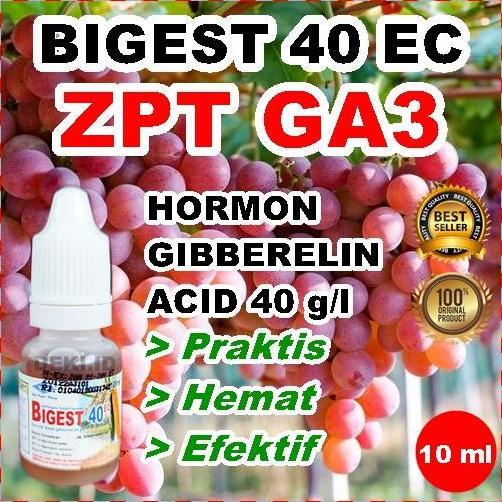 Allthebest- GA3 Bigest 40 EC 10 ml Hormon Giberelin Acid ZPT Tanaman Buah Anggur