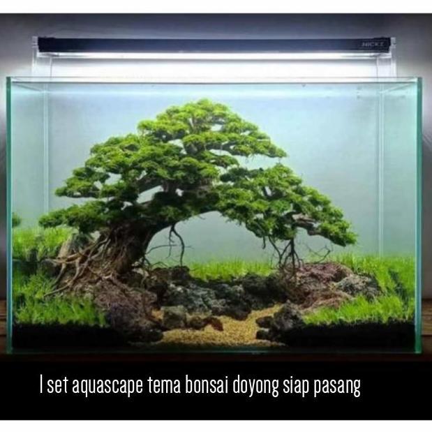 1 set aquascape siap isi air tema bonsai doyong model random ukuran 40cm