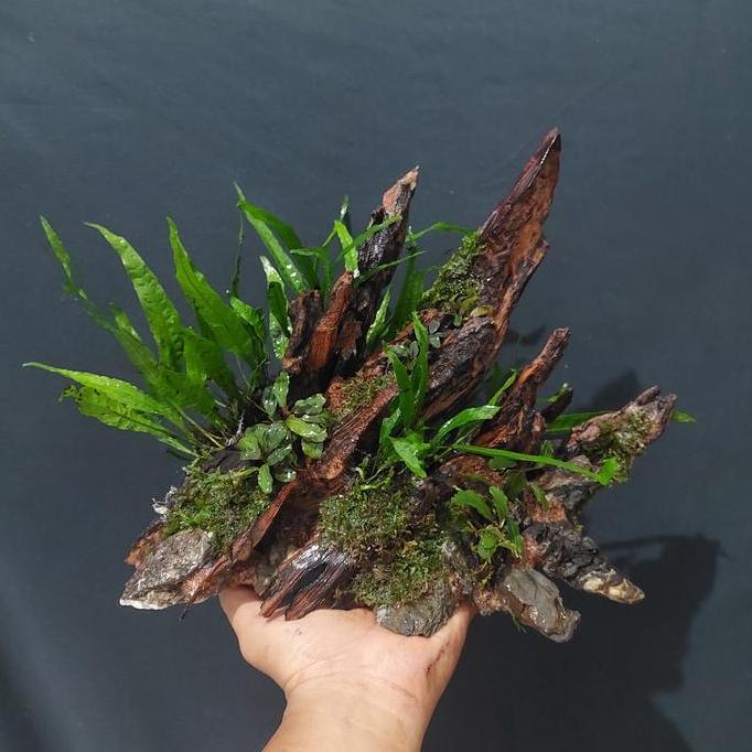 Hardscape Aquascape Natural Custom Ukuran 30 cm
