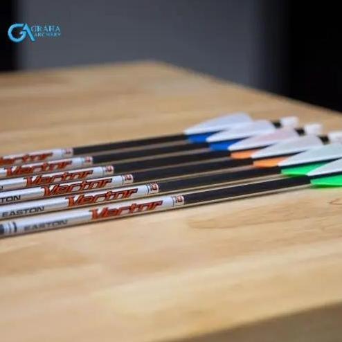 TERLARIS ARROW EASTON VECTOR CARBON