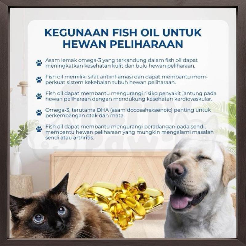 Promo Tung Hai Fish Liver Oil isi 500 Capsules (kemasan pabrik asli)  | Vitamin & Suplemen Minyak Ik