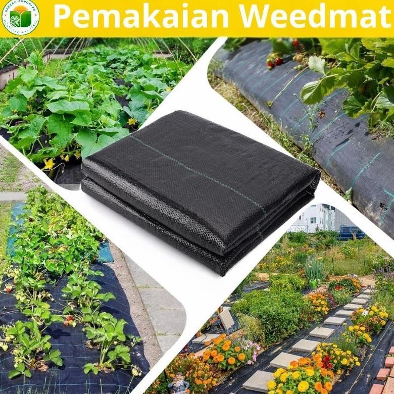 Promo Cod Weedmat Hitam 80 Cm, Weedmat Ecer, Weedmat Greenhouse/ Weedmat Tanaman ....