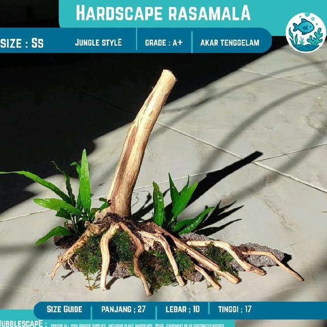 HARDSCAPE AKAR TENGGELAM JUNGLE STYLE SIZE MINI |FREE PACKING |Bonus Tanaman |Aquascape |Ornamen Hia