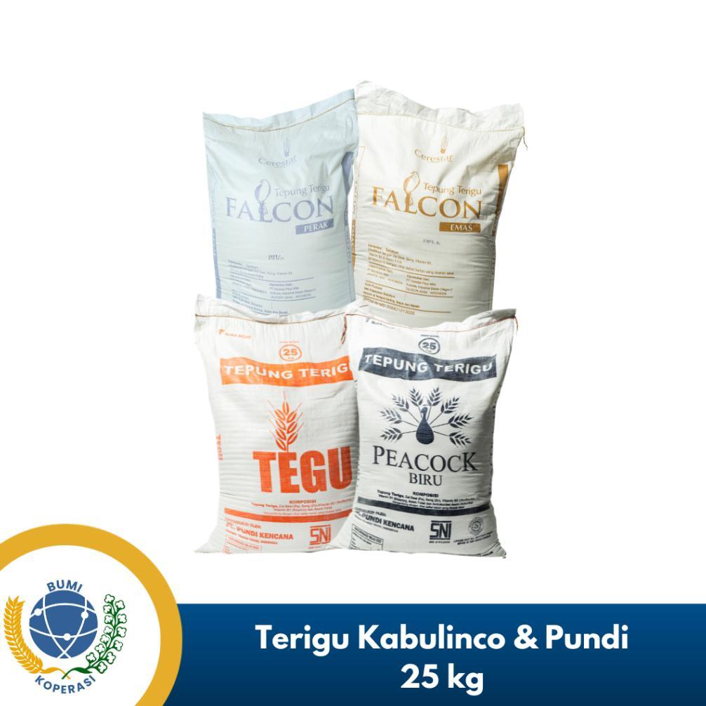 CARGO Tepung Terigu Pundi, Tepung Terigu Kabulinco 25 Kg