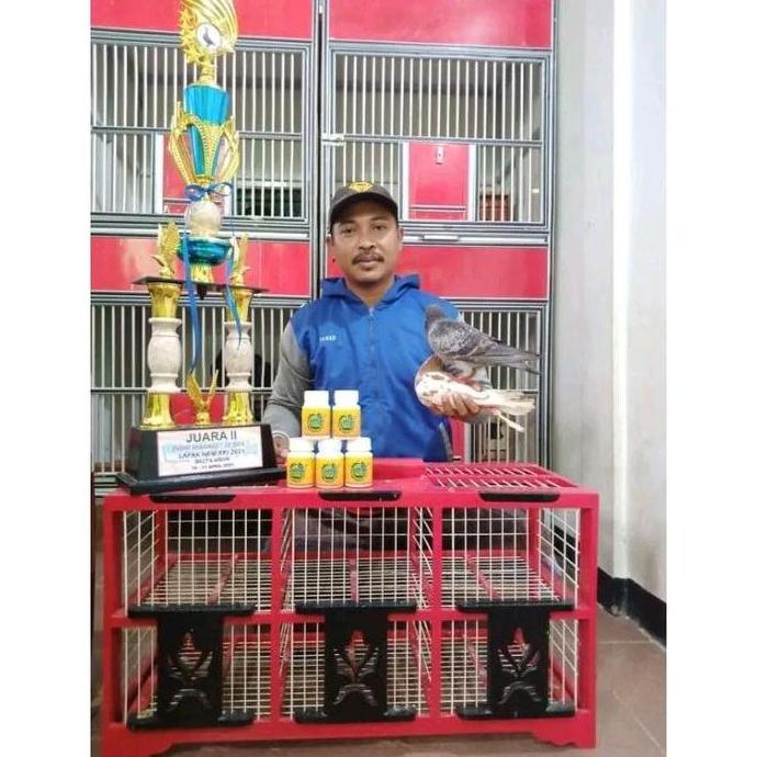 Bluee- Jamu Merpati Perfect Power Isi 100 Butir Perfect Power Merpati Jamu Herbal Merpati