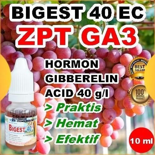 Taman- Ga3 Bigest 40 Ec 10 Ml Hormon Giberelin Acid Zpt Tanaman Buah Anggur