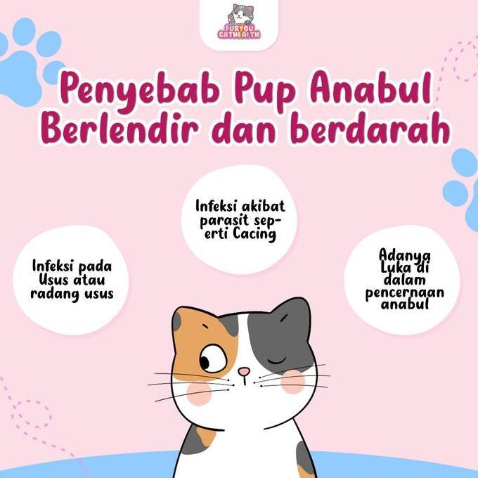 Bluee- Fur You Tetes Pup Berdarah Dan Berlendir Kucing