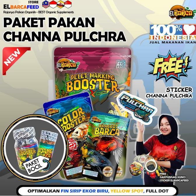 Blebeb- Paket Pakan Ikan Channa Blue Pulchra (Push Sirip Fin Ekor Biru, Yellow Spot, Full Dot) + Sti