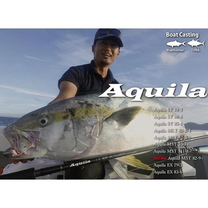 HARGA DISC - Ripple Fisher Aquila Rod SERIES