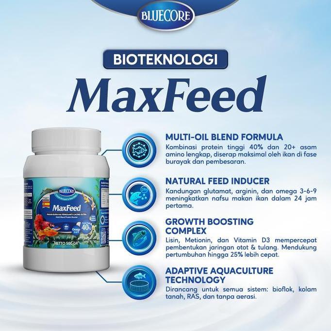 Catbull- Bluecore Maxfeed Pakan Burayak Ikan Penghemat Cacing Sutera Untuk Penggemuk Ikan Dan Perang