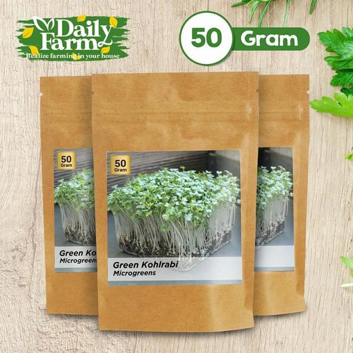 PROMO Benih Sayur Microgreen Green Kohlrabi Microgreen ( 50 Gram )