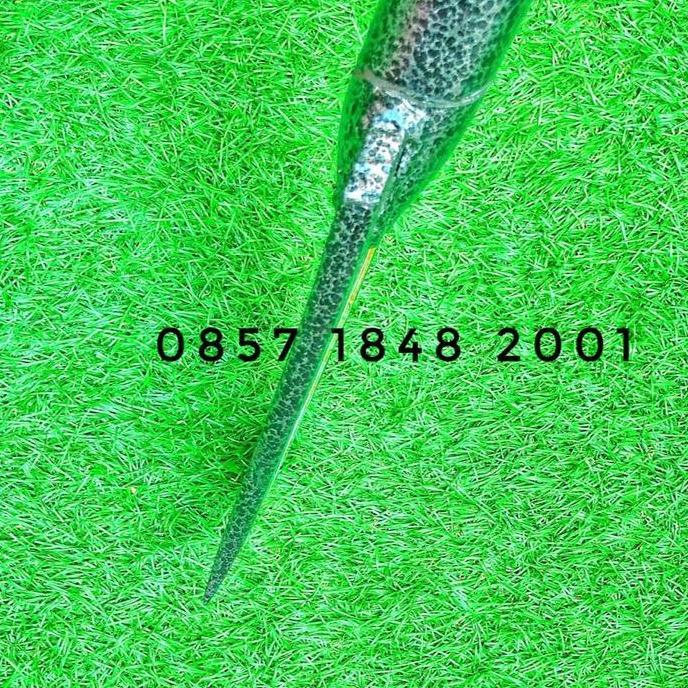 Momenttix- Linggis Dodos Lempak Tanah Asli Super Kuat Linggis Dodos Baja Tagpro