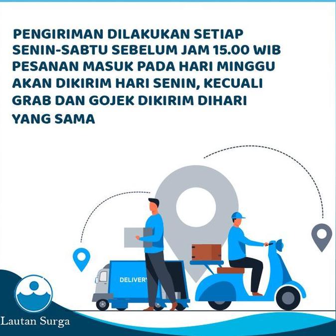 Festwid- Tripod Stand Banner 2 Meter 2 Sisi, Tripod Banner 2 Sisi