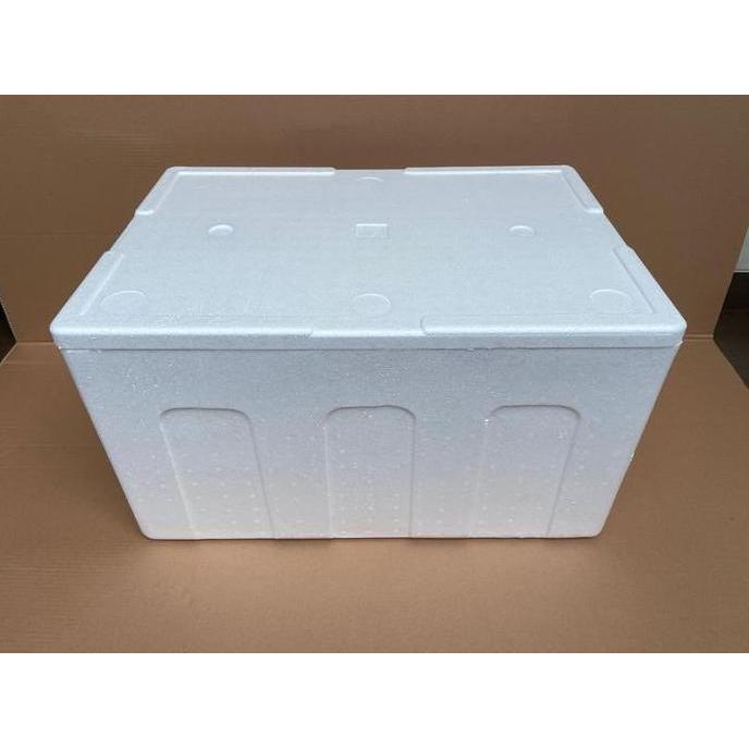Instancodbisa- Styrofoam Box 60Kg 70 X 49 X 40Cm Box Foam