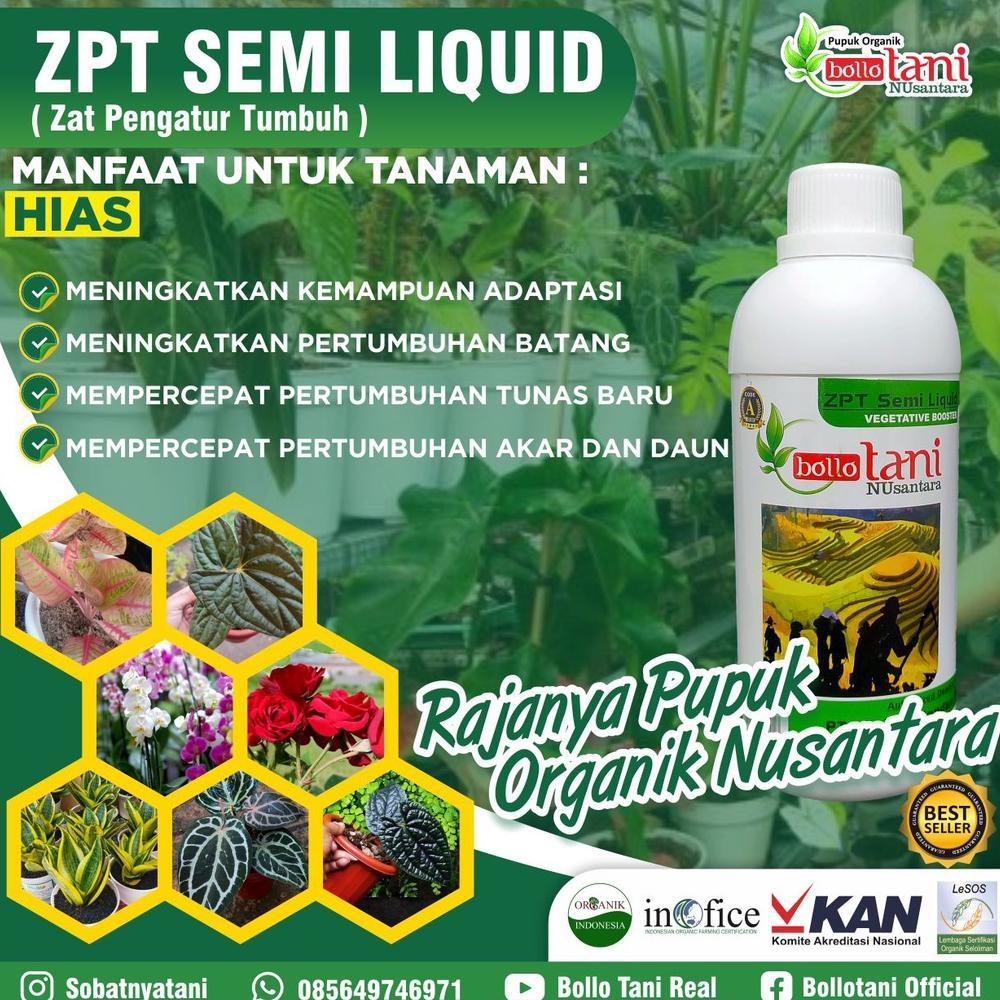 Bisa Cod Paket Pupuk Cair Bollotani Npk Zpt Bio Organik  Npk Organik  Zpt Organik ....
