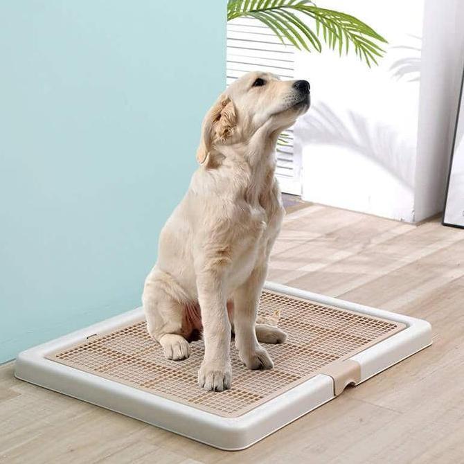 Bisadong- Pet Toilet Training Dog Large - Tempat Pipis Poop - Pee Tray Dog L
