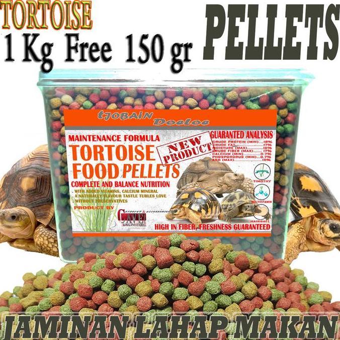 makanan sulcata tortoise kura kura darat food sulkata leopard pardalis aldabra redfood aldabra rusia