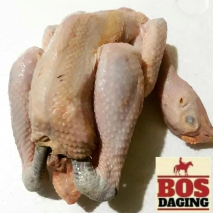 Daging ayam kampung utuh dijamin fresh segar