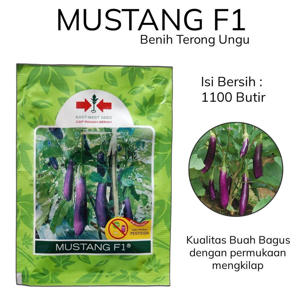 Mustang F1 Benih Bibit Terong Unggul Isi 1100 Biji Sayuran Terung Ungu Panjang Unggul Cap Panah Mera