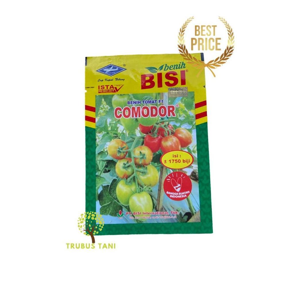BENIH TOMAT HIBRIDA F1 COMODOR - Kemasan 5 gr