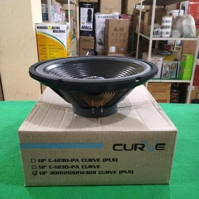 promo Speaker Curve 12 inch woofer