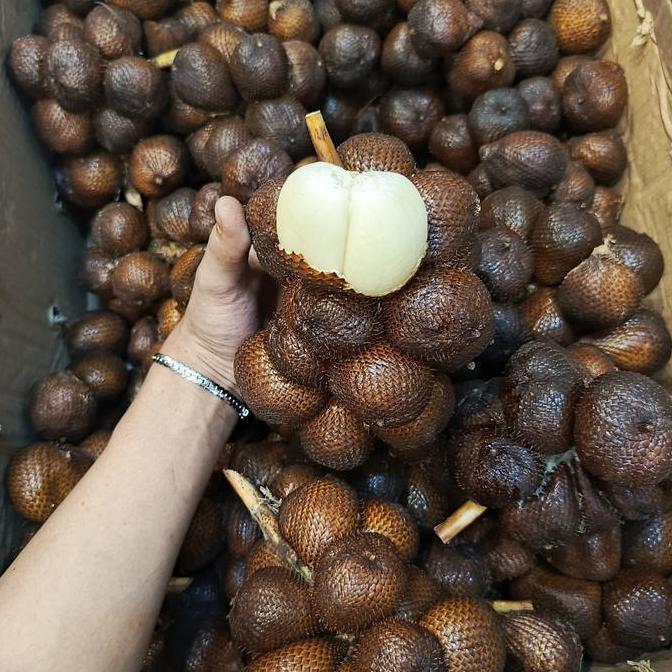 Frutexz- Salak | Salak Gula Pasir | Salak Madu Bali