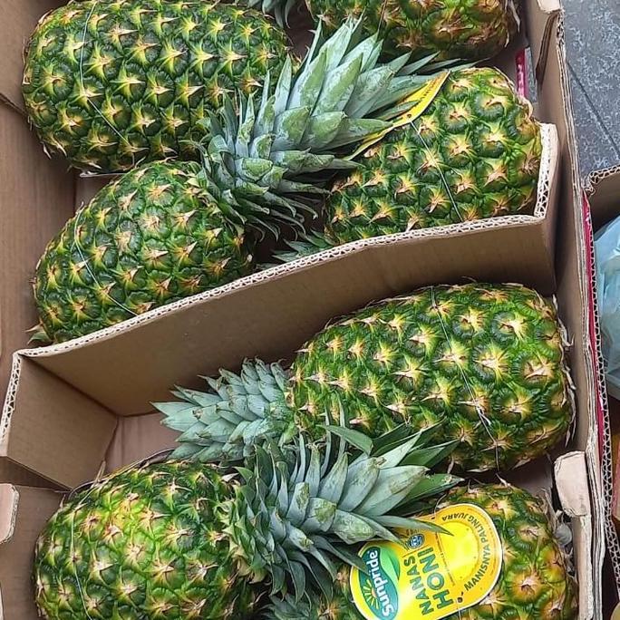 Frutexz- Nanas | Nanas Sunpride | Nanas Hony | Nanas Madu