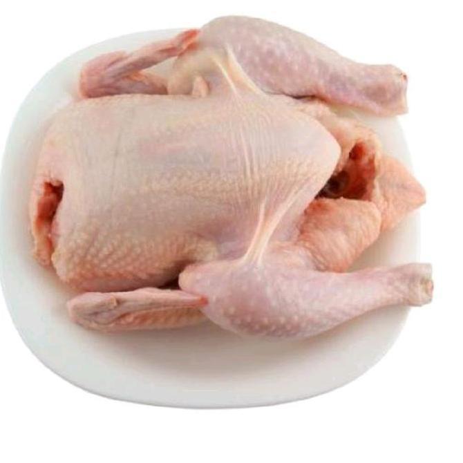 Bigwood- Ayam Karkas Broiler Ayam Potong Utuh 0.5-0.6 Kg