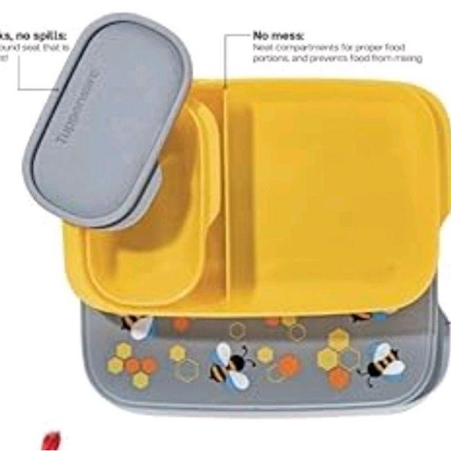 TERBARU - Foodie buddy kotak makan bekal tupperware malaysia kumbang (tanpa tas)