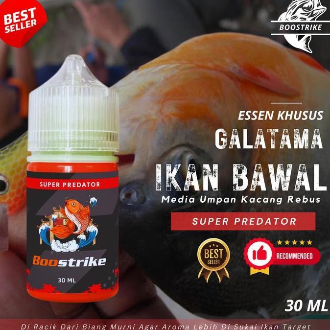 Essen Galatama Ikan Bawal Meuda Umpan Kacang Rebus | Essen Boostrike Super Predator (TERBAIK) (TERBA