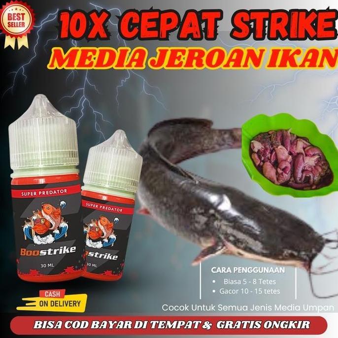 Essen Umpan Mancing Ikan Lele Harian Galatama Media Umpan Jeroan Ikan Paling Gacor (TERBAIK) (TERBAR