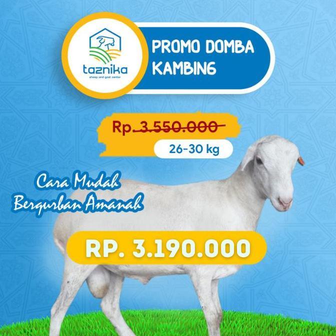 Terlaris Qurban Domba/Kambing Jantan 26-30Kg