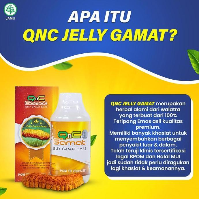 Grildd- Qnc Jelly Gamat Original - Jely Gamat - Jeli Gamat- Jelly Gamat Emas