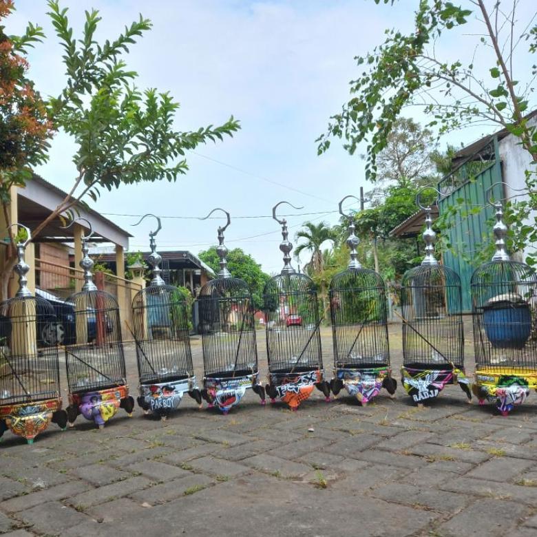 -HSR- Sangkar pleci helopet