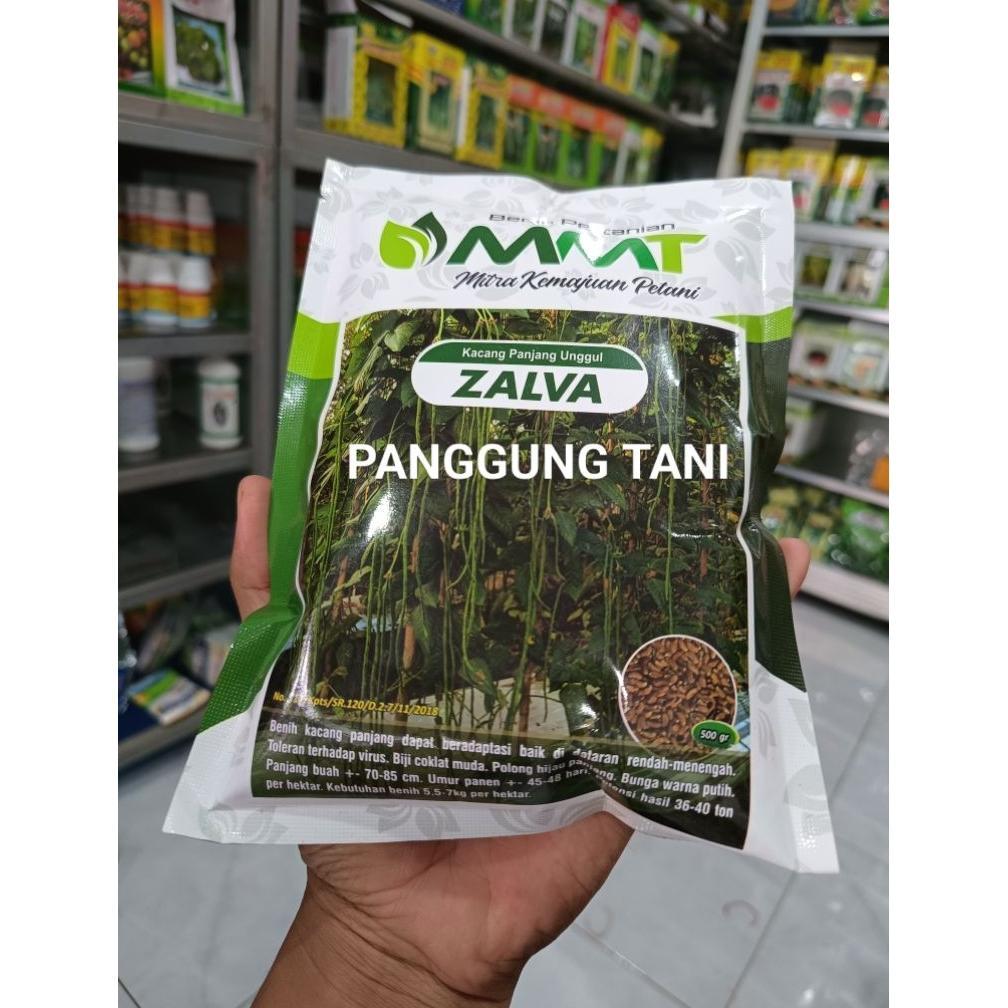 ARN Benih Bibit Kacang Panjang Zalva (Tahan Virus) isi 500 Gram Kadaluarsa 2026 Terbaru - Benih Mitr