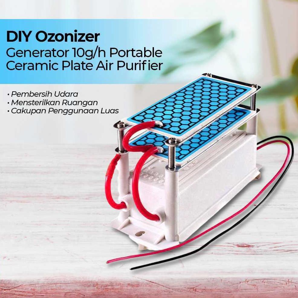 Ozonizer Diy Ozone Generator 10gh Portable Ceramic Plate urifier