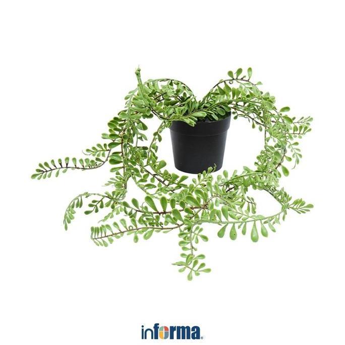 Informa 50 cm Tanaman Artifisial Dengan Pot Ppg36 Tanaman Plastik Dekorasi Rumah Hiasan Meja Pajanga