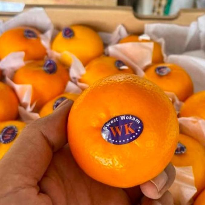 BUAH JERUK MANDARIN WOKAM/WOGAM1KG LJ