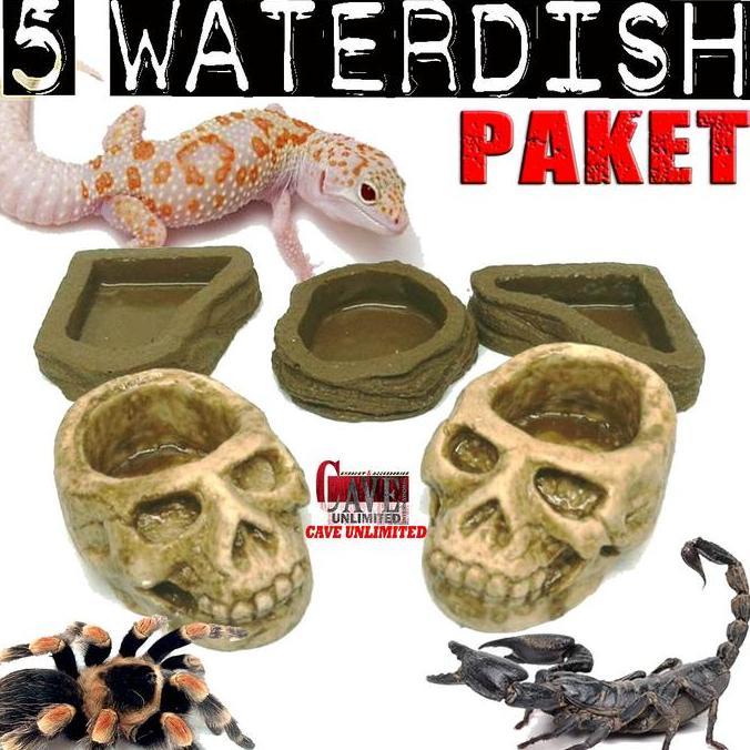 Lansungaja- Paket Hemat 5 Wd Waterdish Kecil Tempat Makan Minum Wadah Kalsium Reptile Insecta Gecko 
