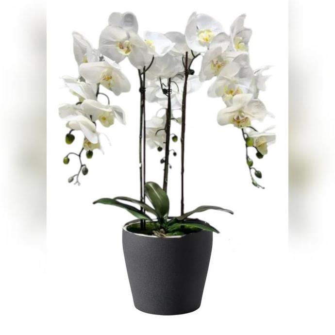 * RANGKAIAN BUNGA ANGGREK PREMIUM LATEX- WHITE + POT KERAMIK DARK *