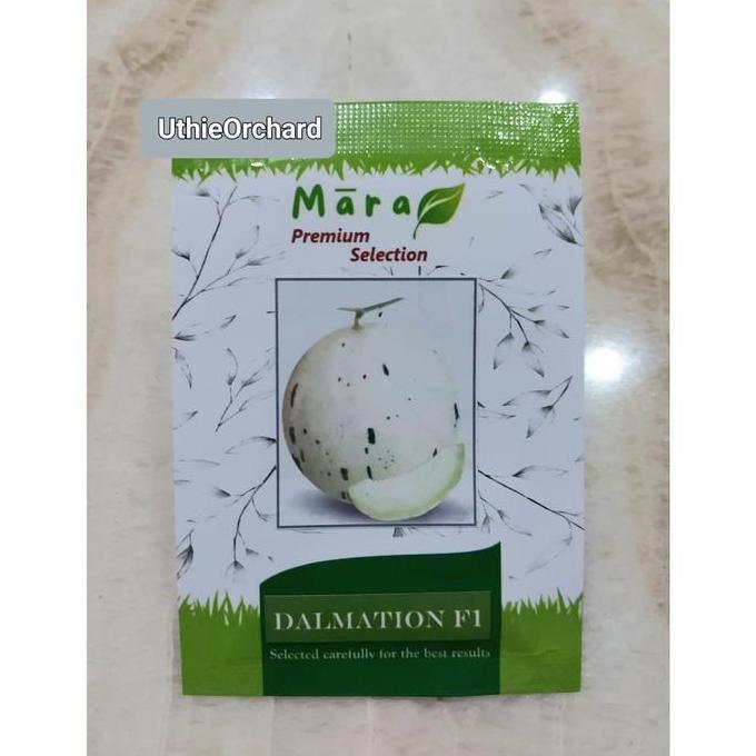 Mara Premium Selection - Benih Melon Dalmation F1